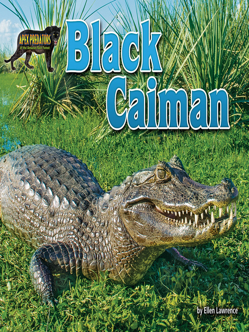 Title details for Black Caiman by Ellen Lawrence - Available
